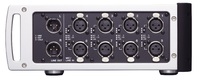 hsp82 right side 2